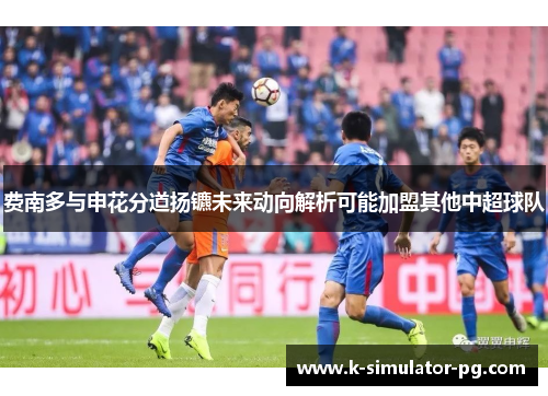 费南多与申花分道扬镳未来动向解析可能加盟其他中超球队