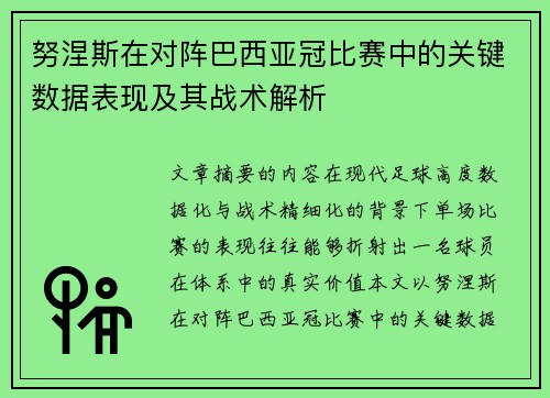 努涅斯在对阵巴西亚冠比赛中的关键数据表现及其战术解析