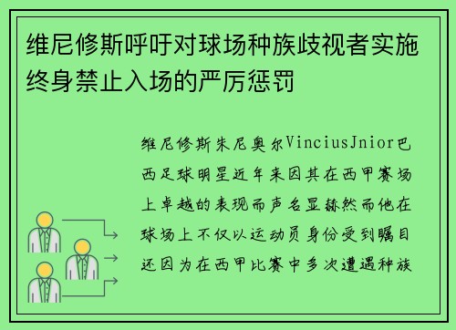 维尼修斯呼吁对球场种族歧视者实施终身禁止入场的严厉惩罚 维尼修斯呼吁对球场种族歧视者实施终身禁止入场的严厉惩罚